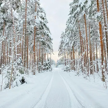Peaceful Palace Silla (Saare)
