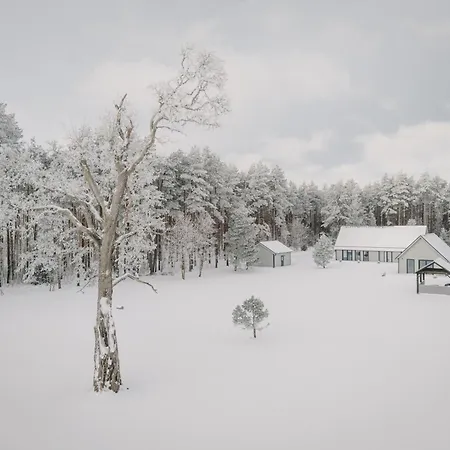 Peaceful Palace Silla (Saare)