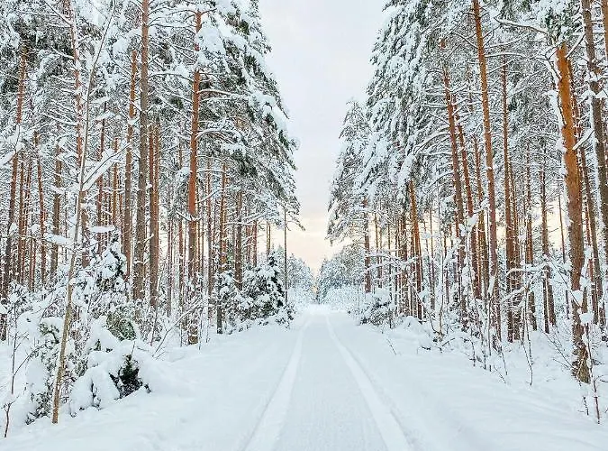 Peaceful Palace Silla (Saare)