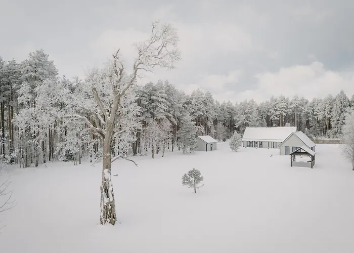 Peaceful Palace Silla (Saare)